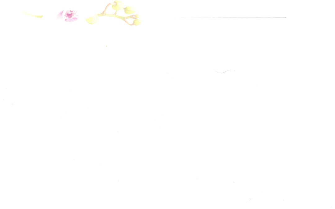 Madame Veuve Edouard MOSSE Née Eliane LAIGNON